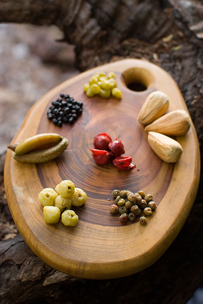 Fraser Island Bush Tucker