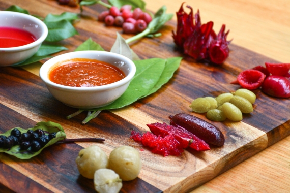 Tastes of Australia